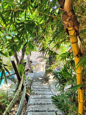 Property grounds - Hotel and cabins the best place to rest in front of the sea. 7443204340 (Acapulco de Juárez)