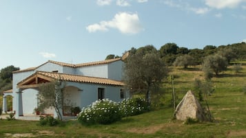 Esterni