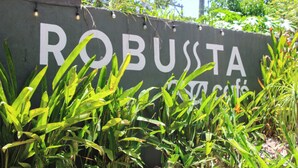 Un panneau portant l’inscription « ROBUSTA », en partie masqué par la végétation.