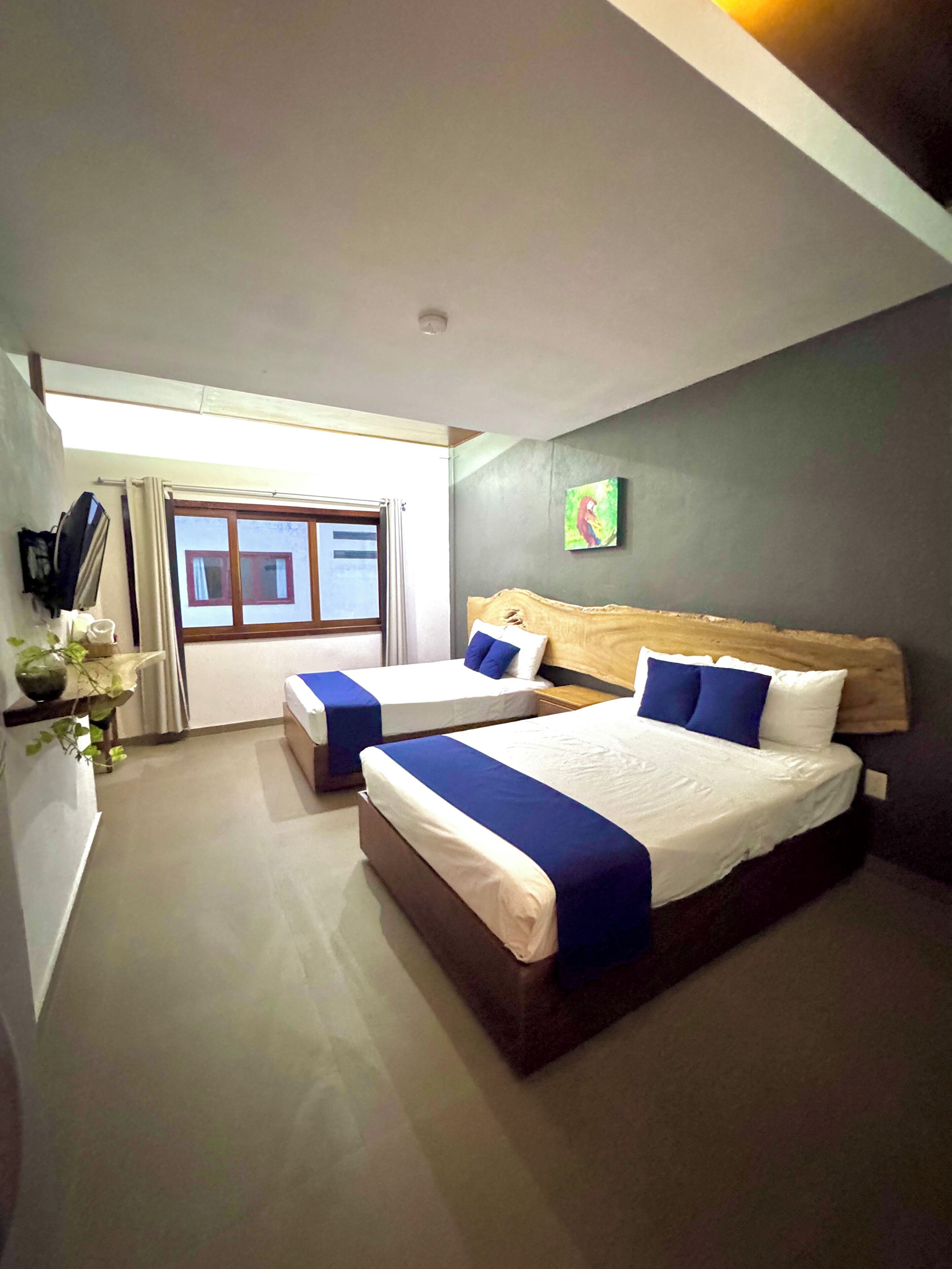 Estudio superior | Wifi gratis y ropa de cama 