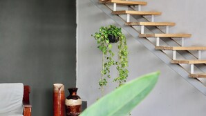 Un escalier avec des marches en bois et une plante suspendue.