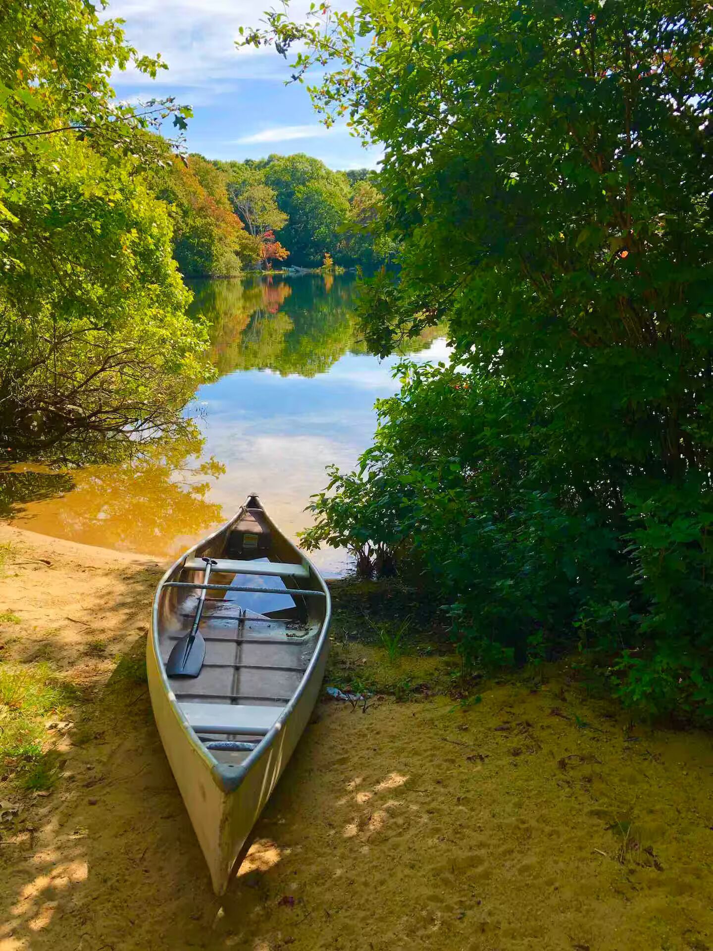 A canoe tied to a sandy shore with a calm lake and dense foliage in the background.