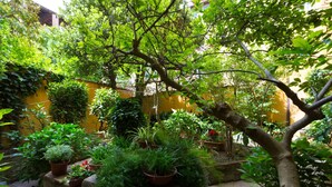 Ảnh chưa phân loại, 3 trong số 21 ảnh, nút