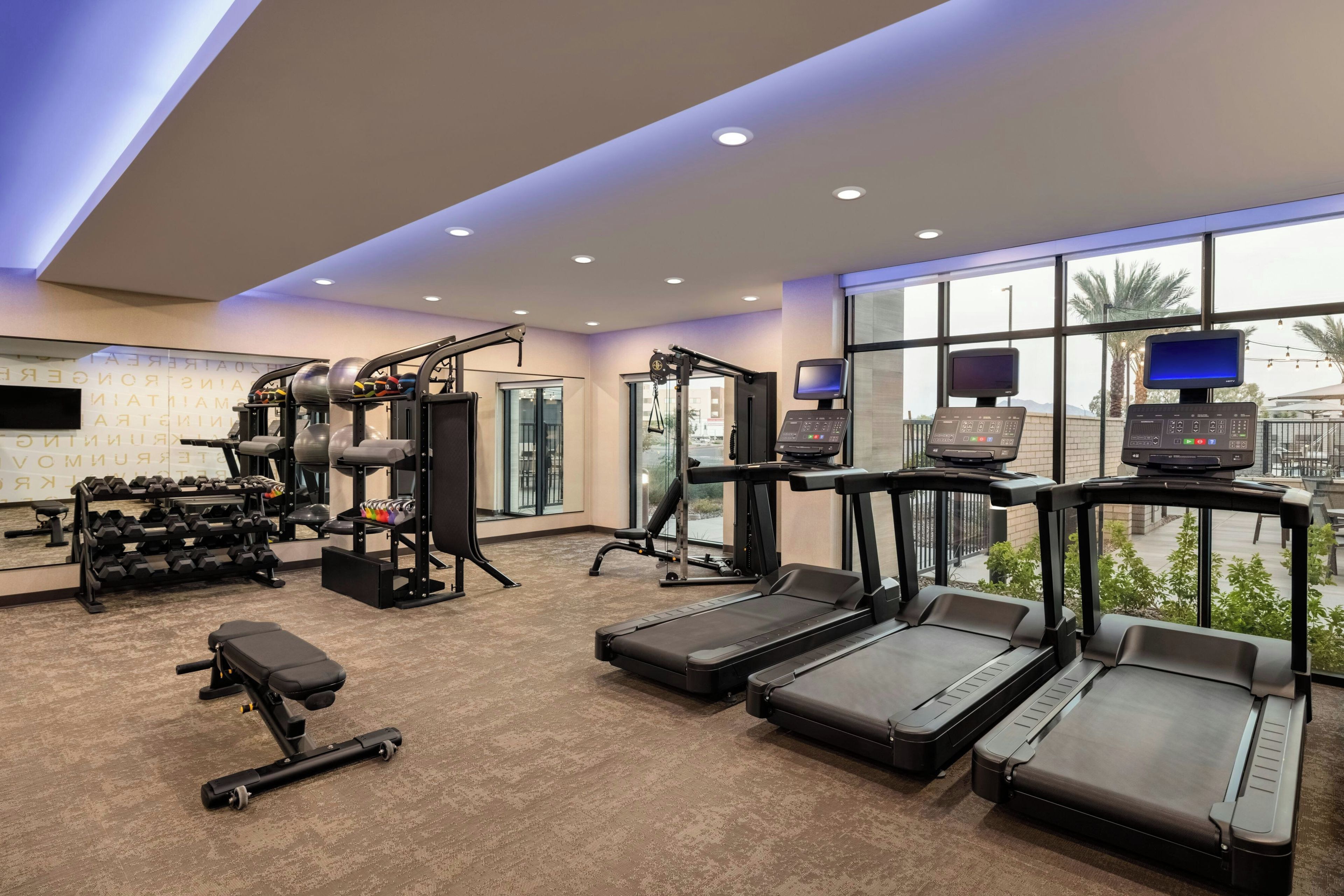 A gym with treadmills, weight machines, and dumbbells.