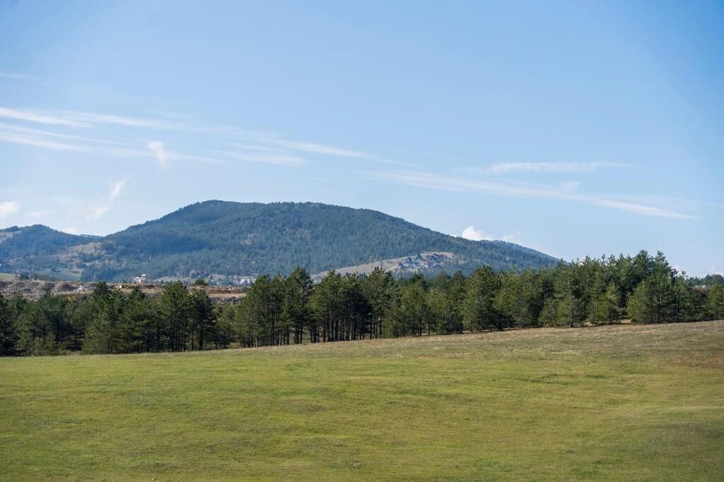 Niityllä kasvaa ruohoa, ja taustalla näkyy metsä ja vuori.