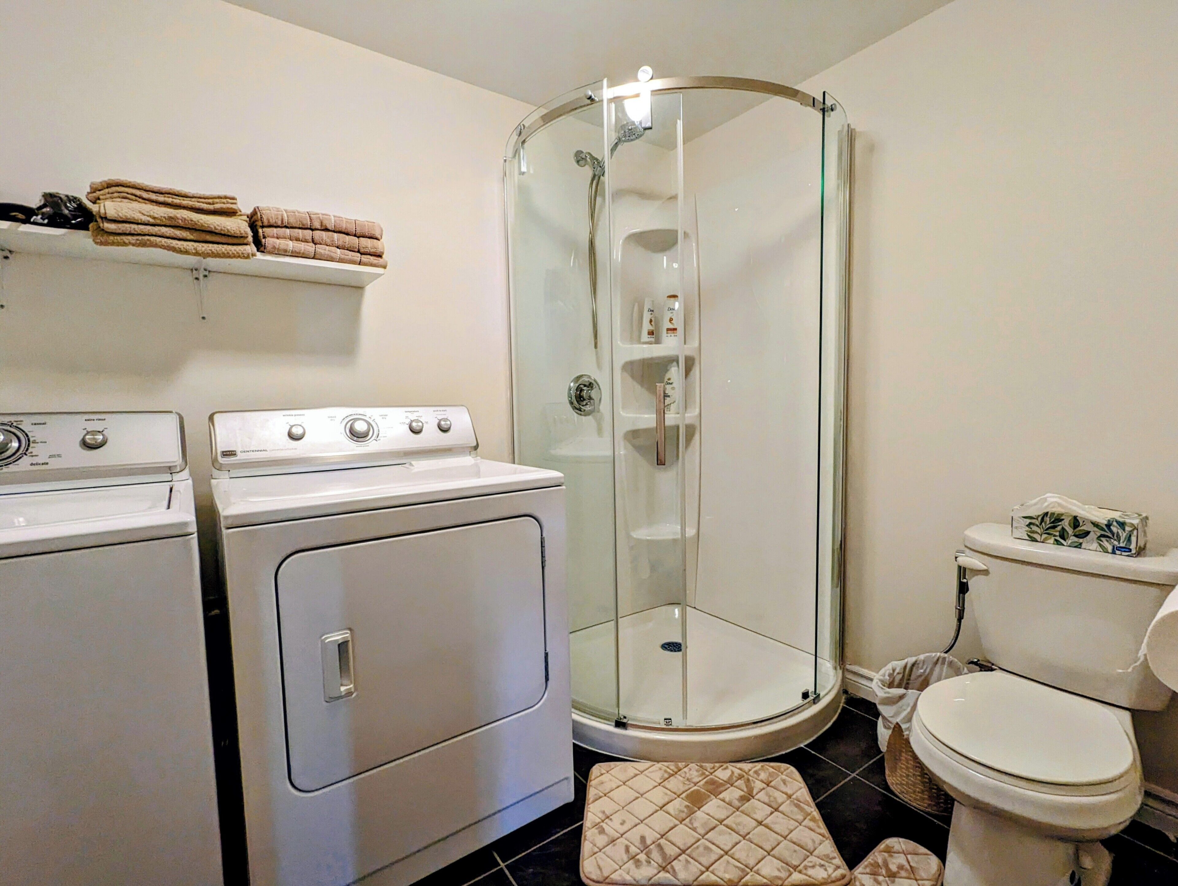Hair dryer, bidet, towels, soap