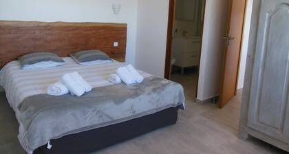 Résidence MINA 4*- Appartement T2 -vue mer-piscine