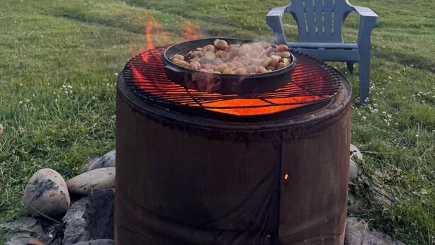 A portable grill with food, a blue chair, and a natural landscape with trees and a fountain.