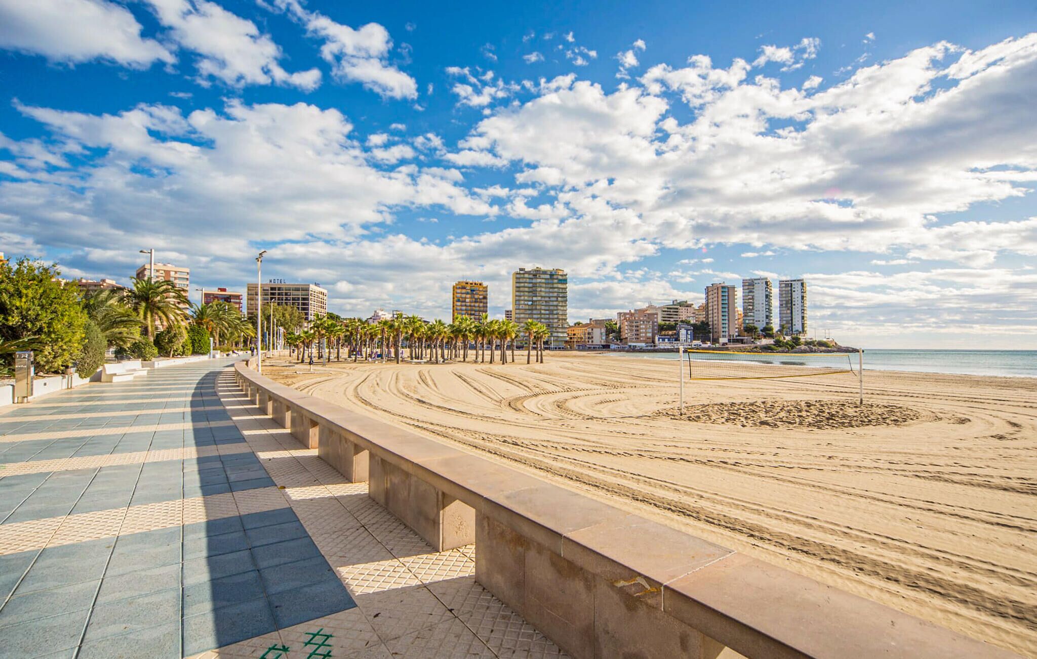 A beach with a paved walkway, palm trees, and buildings in the background.