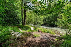 Ein bewaldetes Gebiet mit einem Fluss, einer hölzernen Bank und einem Stuhl.