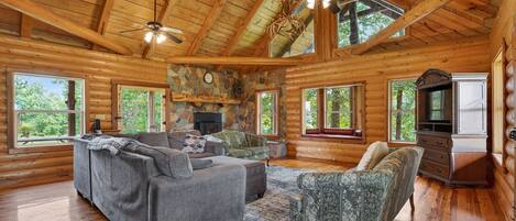 TV, fireplace