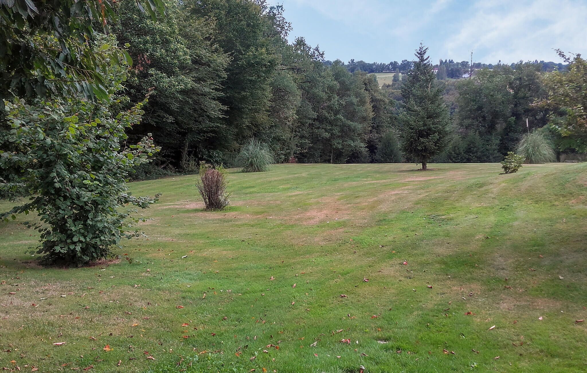 A grassy field with trees and a clear sky.