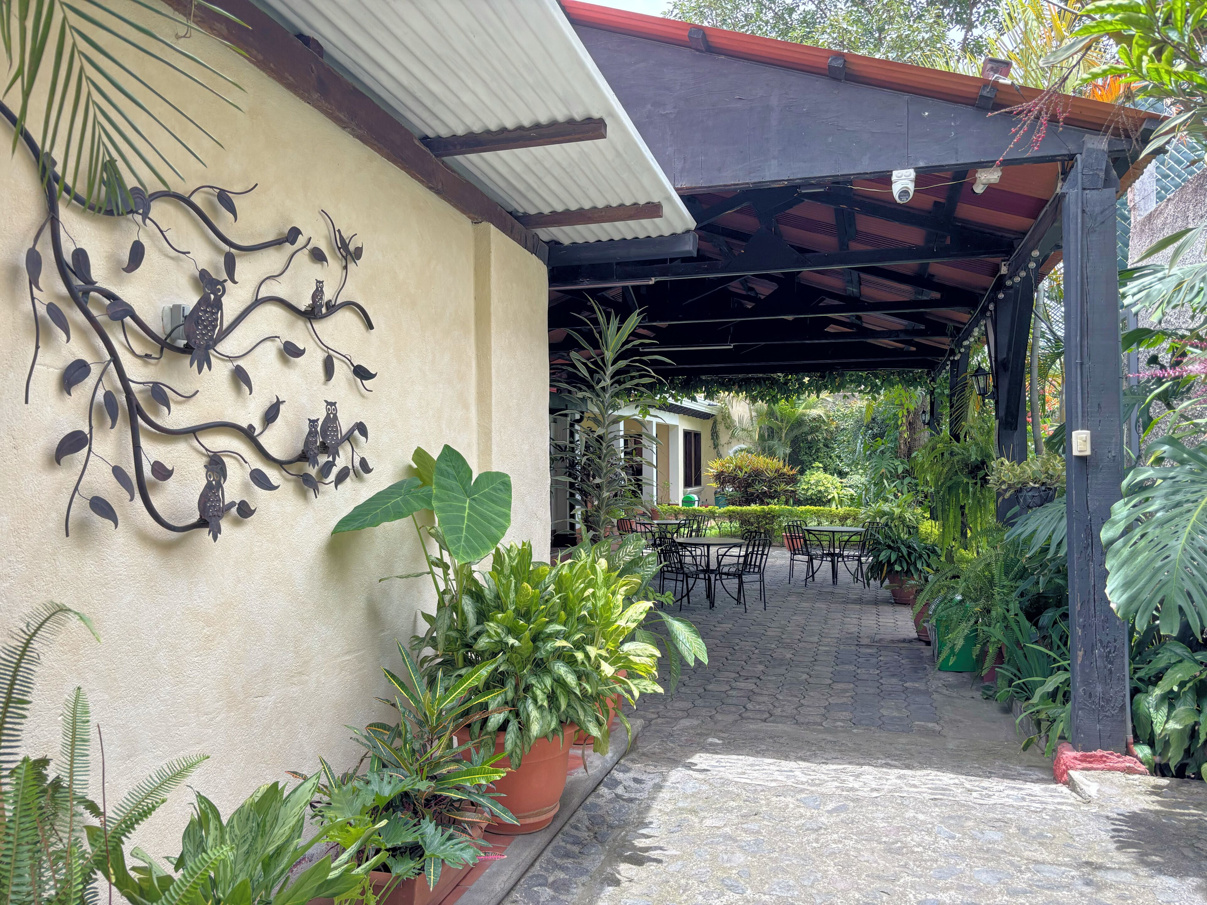 Un espacio exterior techado con patio, plantas en macetas y una escultura decorativa de un búho colgada en la pared.