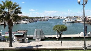 Een jachthaven met stilgelegde boten, een klein kioskje en een palmboom.