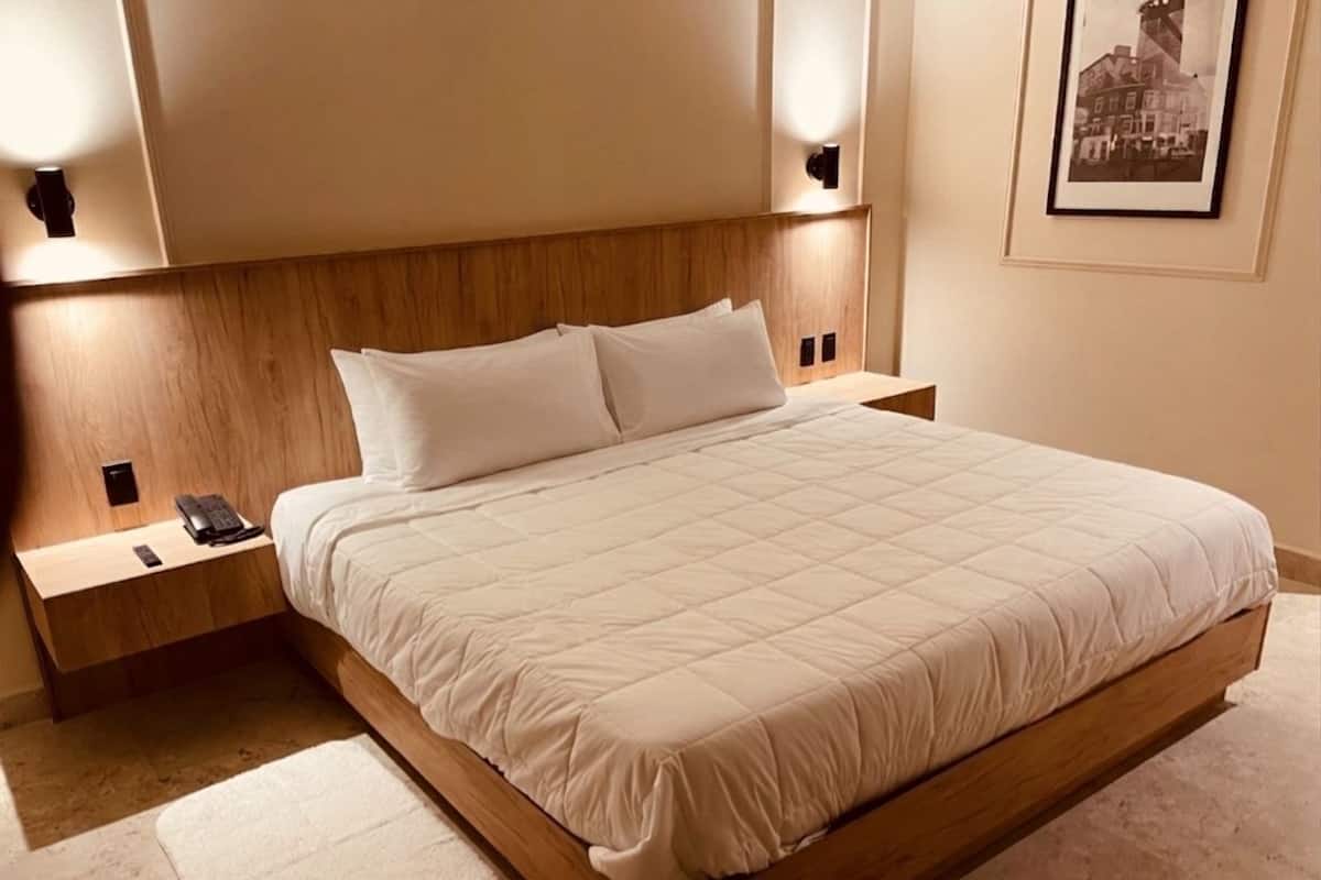 Basic Room, Pets Allowed | In-room safe, desk, laptop workspace, blackout drapes