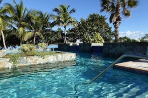 Ein klares Schwimmbecken mit einer Steinmauer und Palmen.
