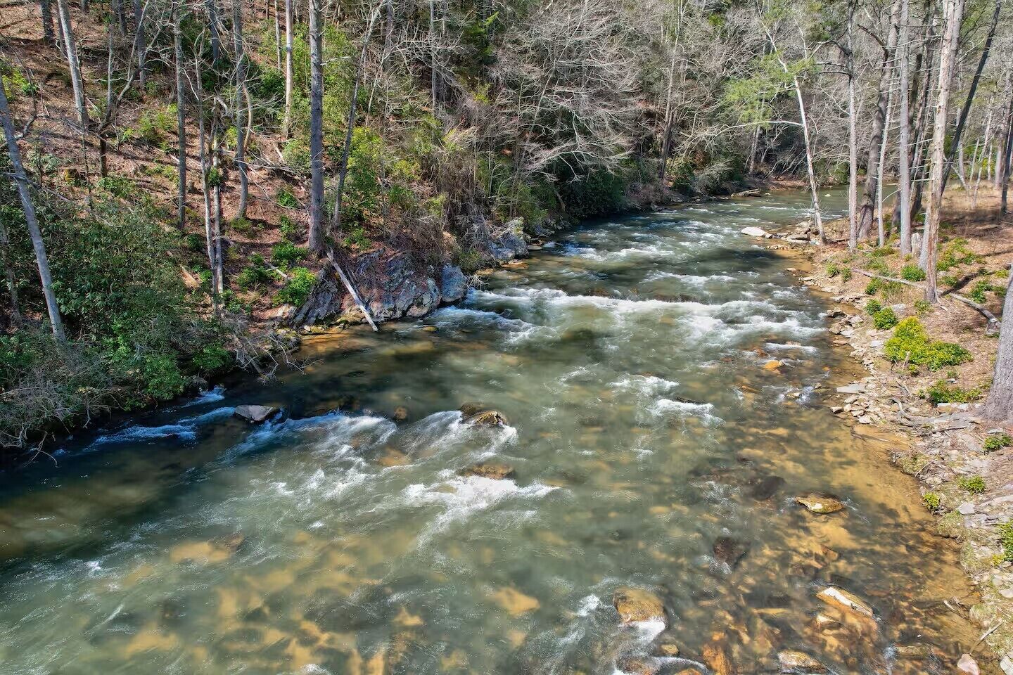 Ein Fluss fließt durch eine bewaldete Gegend mit Bäumen und Felsen.