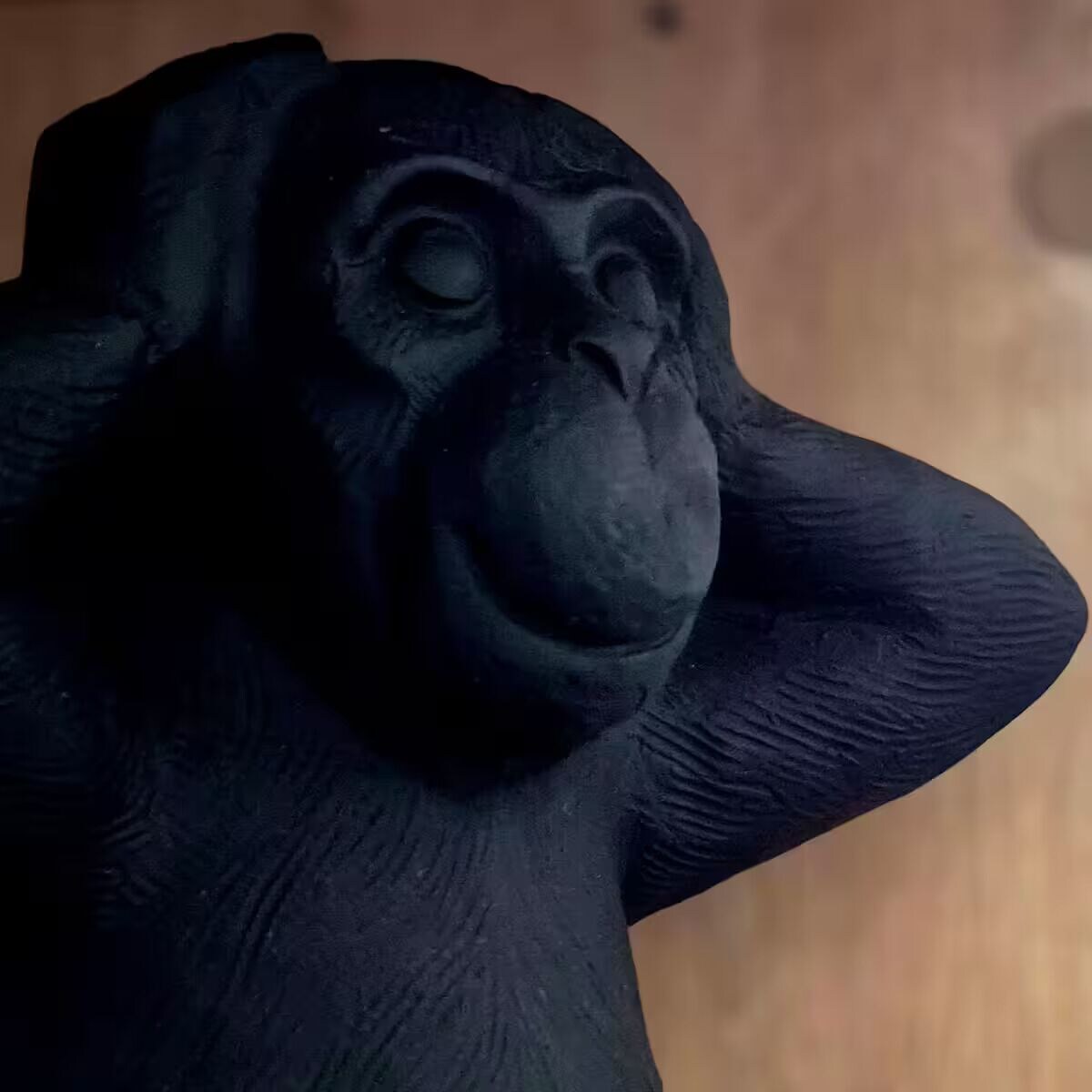 Host profile image