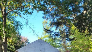 A house with a porch, a pathway leading to it, and surrounding vegetation.