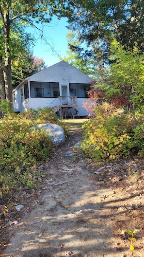 A house with a porch, a pathway leading to it, and surrounding vegetation.