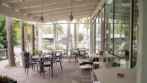 An outdoor café with tables and chairs, large windows, and a view of palm trees. - Hotel Saturday (Palma Campania)