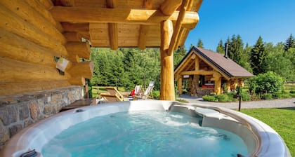 Luxury wooden villa in the forest with jacuzzi, sauna and barbecue