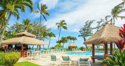 Islander on the Beach 123- Oceanfront Ground Floor Studio "Coco Moon"