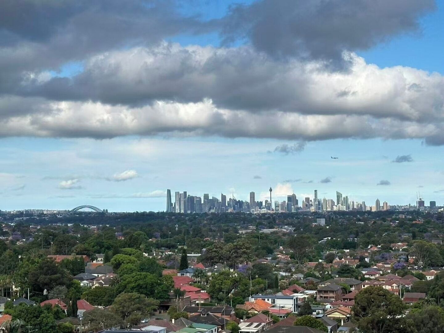 A city skyline with high-rise buildings, a bridge, and residential areas.