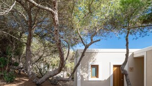 A modern building with a wooden door, surrounded by trees and a clear sky. - Las Dunas Apt (Formentera)