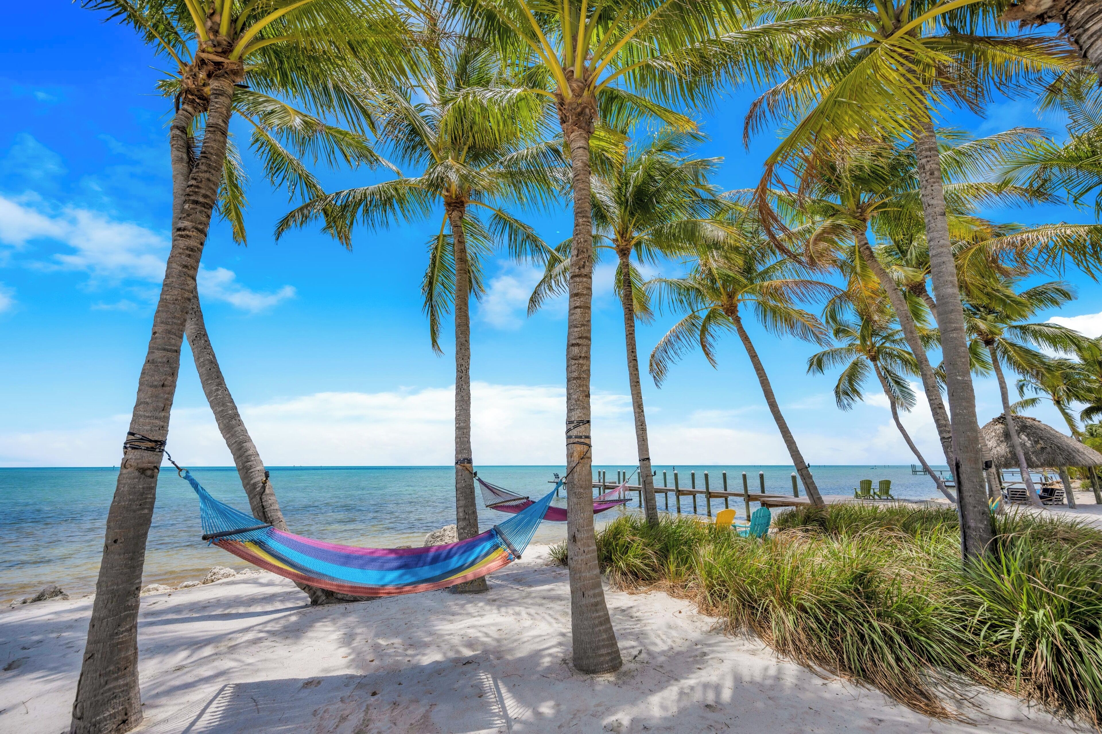 A beach with palm trees, a hammock, and a wooden pier.
