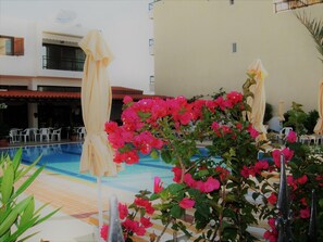 Zona de piscina con sillas y sombrillas, rodeada de flores de buganvilla rosadas.