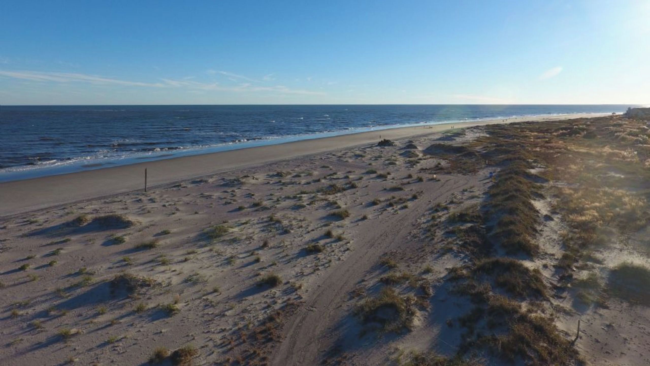A beach with a clear sky, sandy terrain, and sparse vegetation.