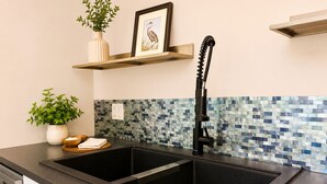 A kitchen with a double sink, a dishwasher, a potted plant, and a framed picture on a shelf. - 12 ACRES RETREAT Seclusion in nature - private estate (Procter)
