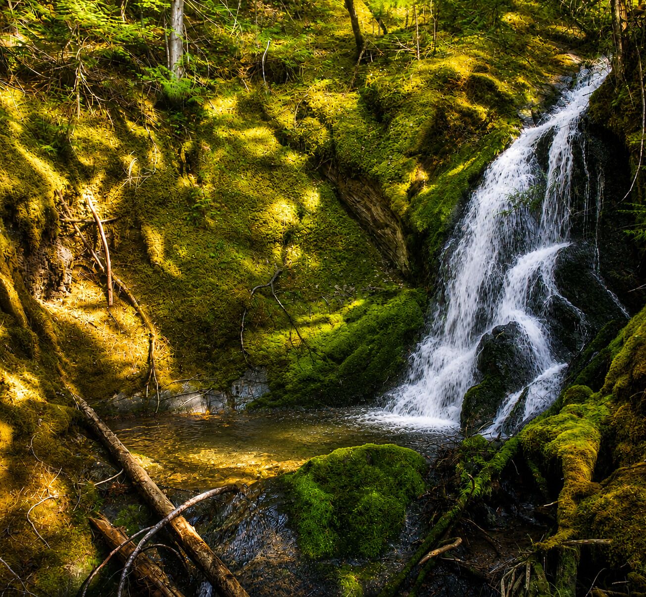 Una cascada rodeada de abundante vegetación y rocas cubiertas de musgo.
