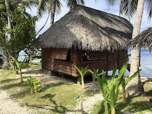 Eine strohgedeckte Hütte mit Holztür, umgeben von Palmen und einem Sandstrand.