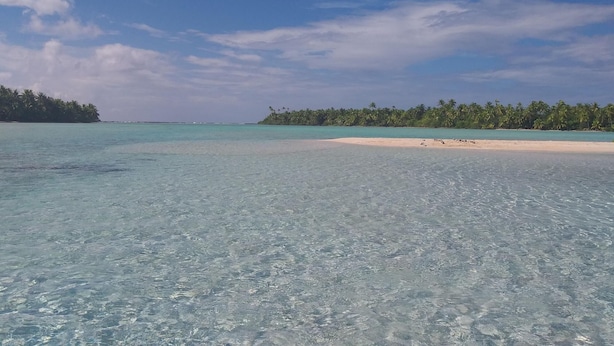 A beach with clear turquoise water, a sandy shore, and a line of palm trees in the distance. - Tetamanu Village (Fakarava)