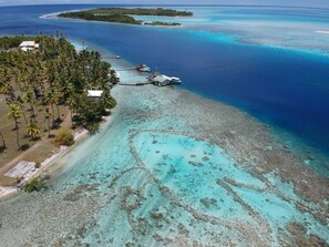 Eine Vogelperspektive einer tropischen Insel mit klarem, türkisblauem Wasser, einem kleinen Steg und einer Ansammlung von Gebäuden, umgeben von Palmen.