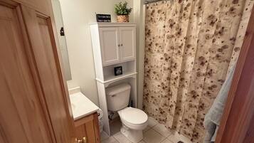 Ein Badezimmer mit Toilette, einem Schrank, einer Duschvorhang und einem Teppich.