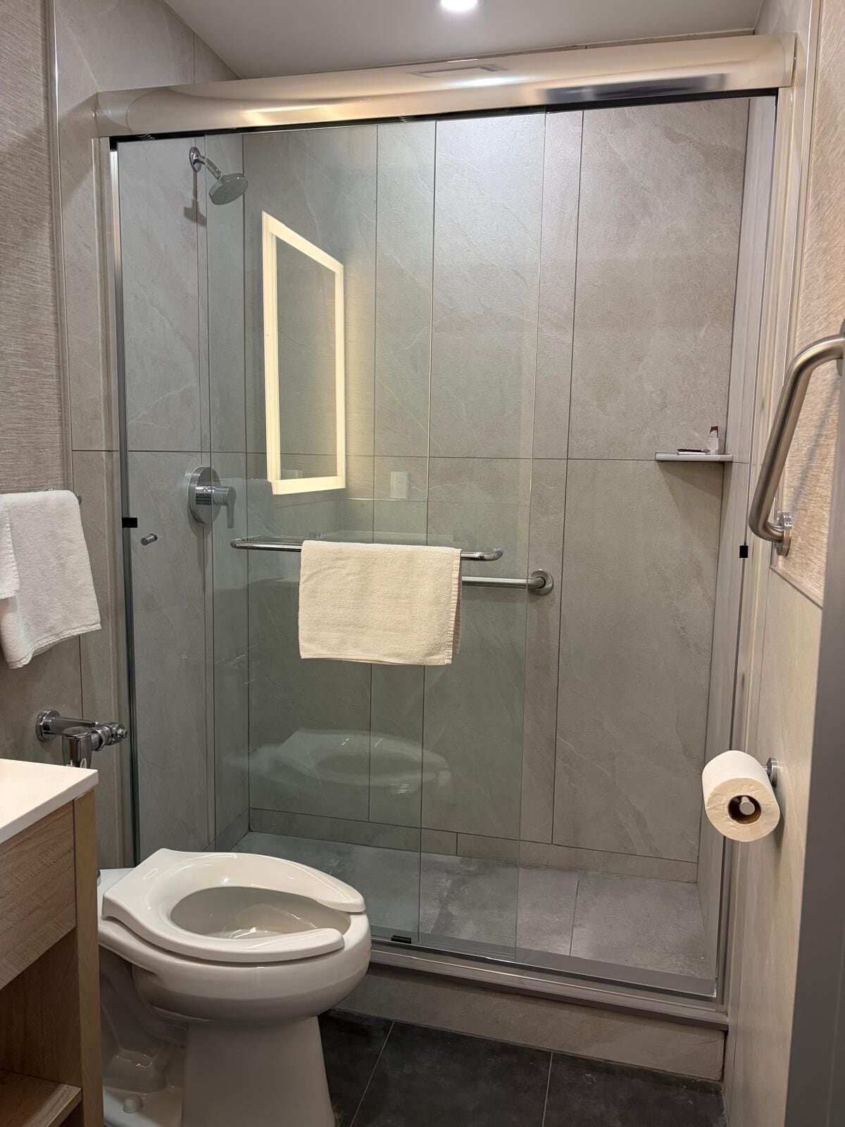 A modern bathroom with a glass-enclosed shower, a toilet, and a mirror.