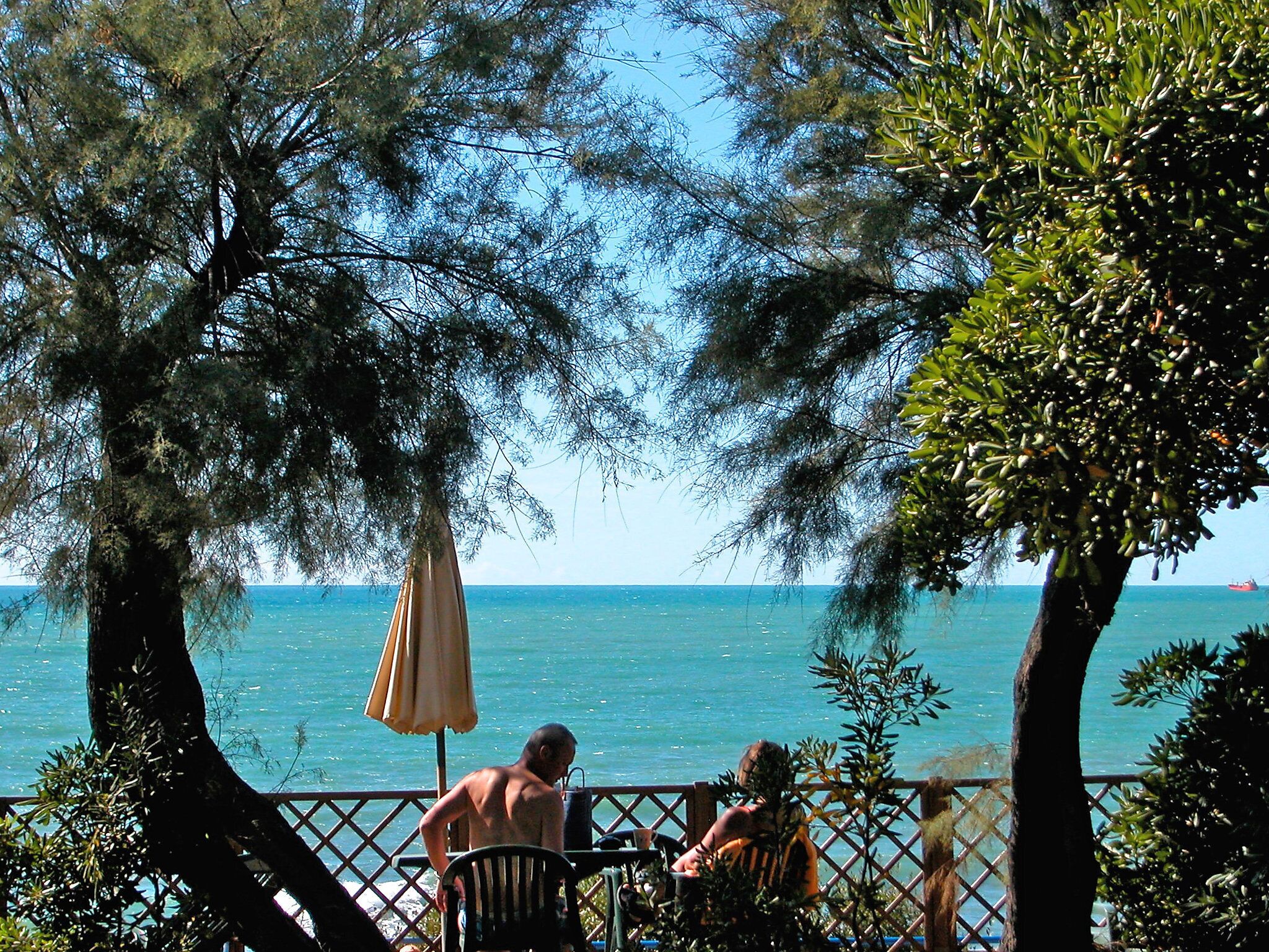View from property