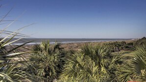 A beach with palm trees and a view of the ocean. - 3902 Palm Blvd by Avantstay Beach Access! Oceanfront Views w/ Pool (Isle of Palms)