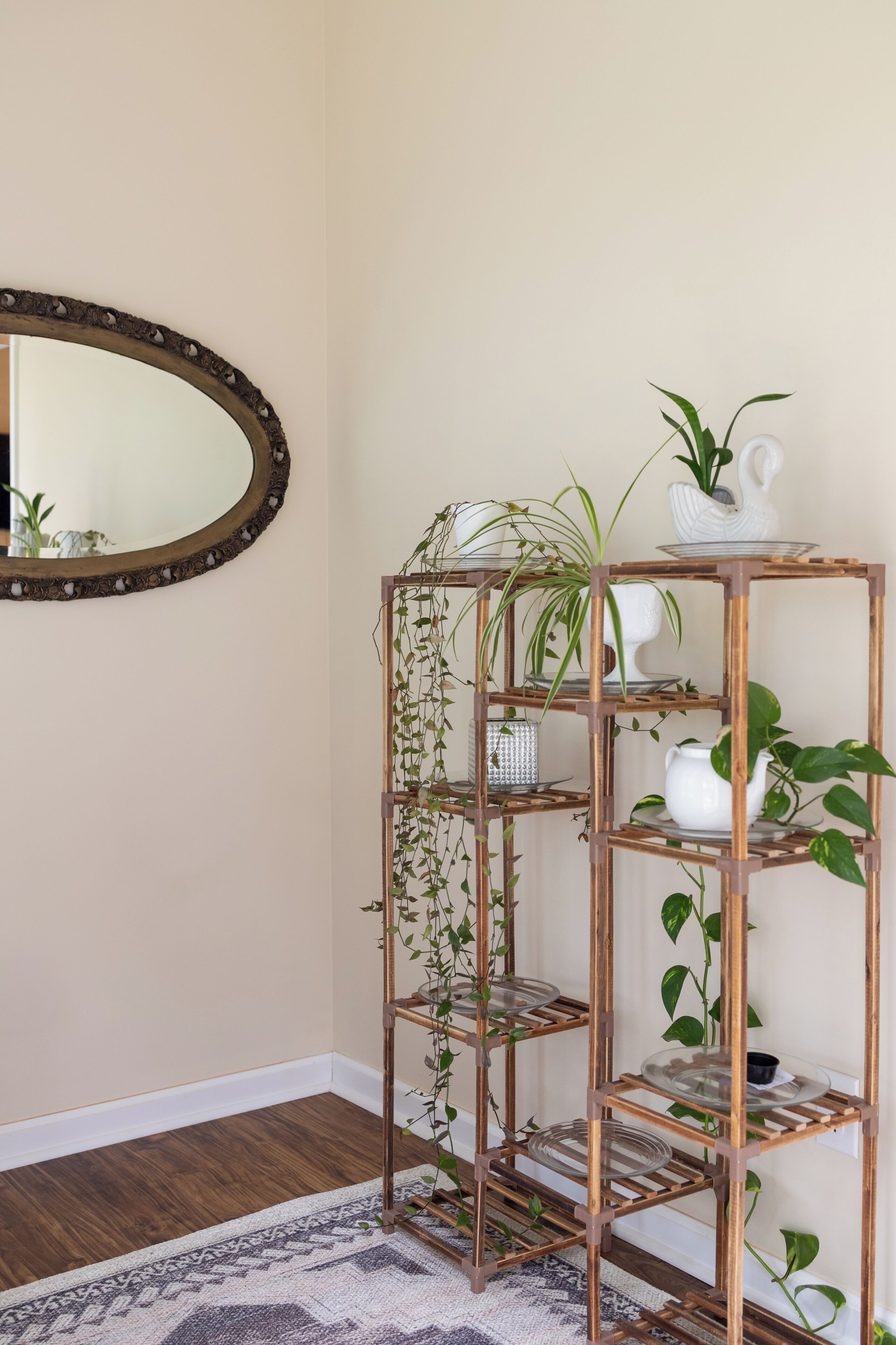 A corner with a mirror, a wooden plant shelf, and a patterned rug.