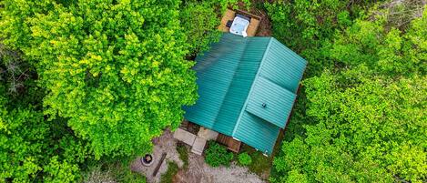 A small house with a green roof surrounded by dense green foliage.