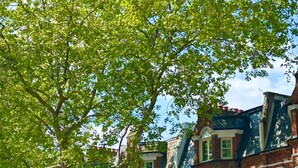 A row of brick buildings with storefronts, including a bakery and a pharmacy. - Charming London Apartment in Chelsea/ Fulham (London)