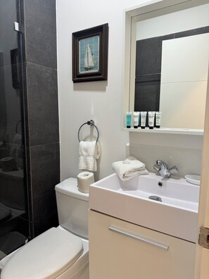 Douche, sèche-cheveux, serviettes fournies, savon