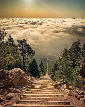 A mountain path leading to a forested area with a view of clouds above. - Woodland Park Home with Direct Views of Pikes Peak! (Woodland Park)