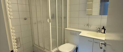 A bathroom with a shower, toilet, sink, and mirror.