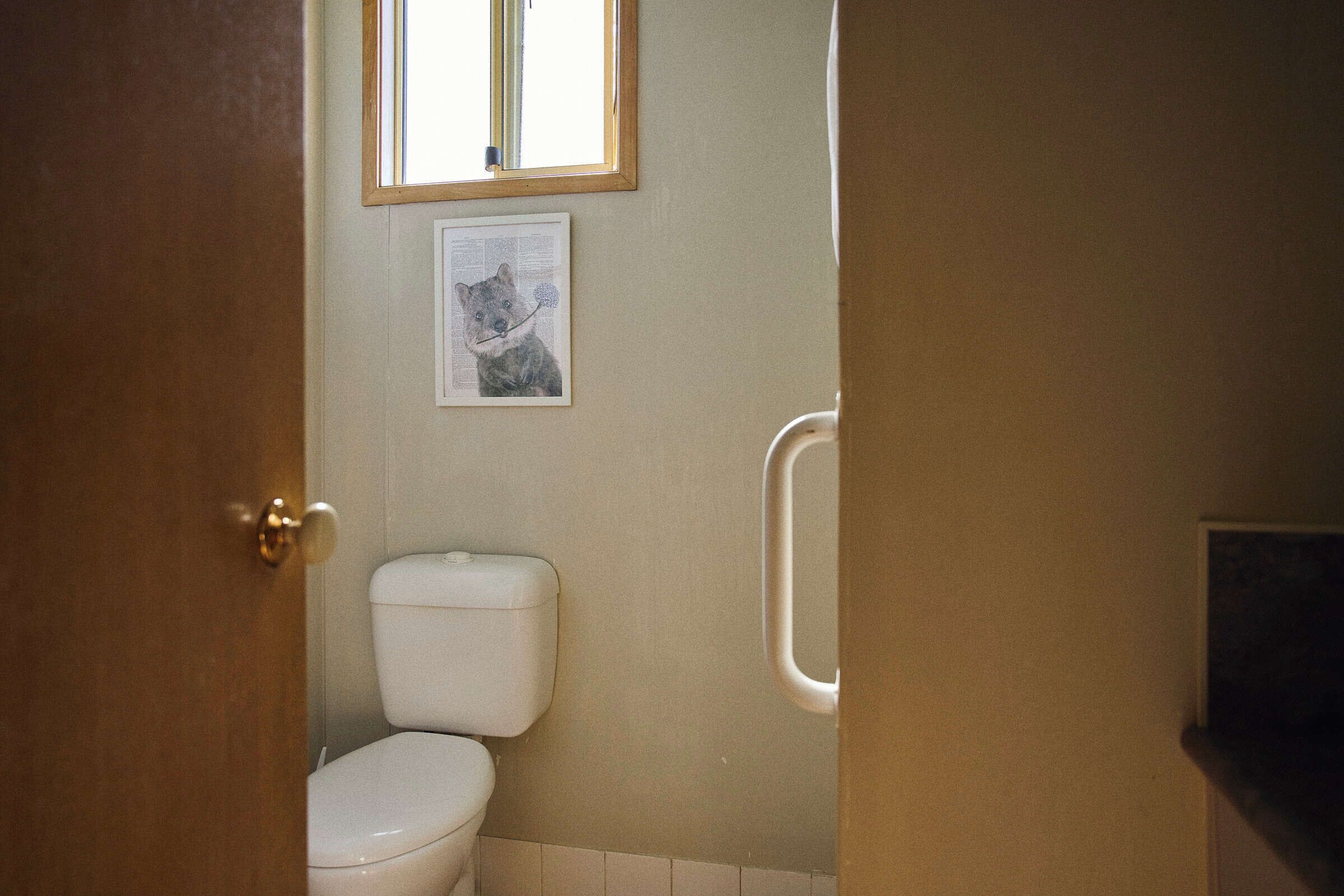 Un bagno con il water, un corrimano e un quadro appeso al muro.