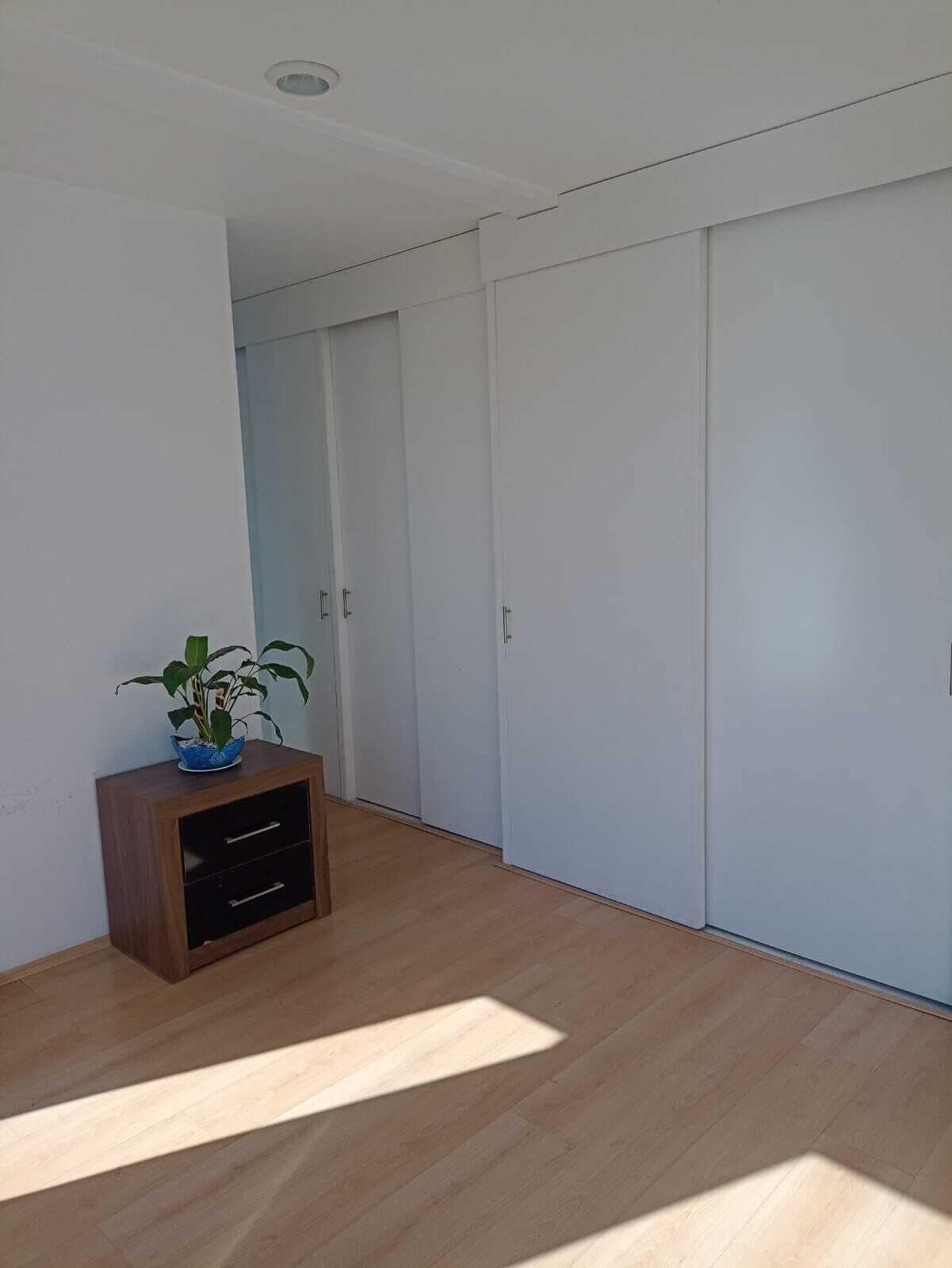 A room with a wooden cabinet, a potted plant, and a wardrobe.