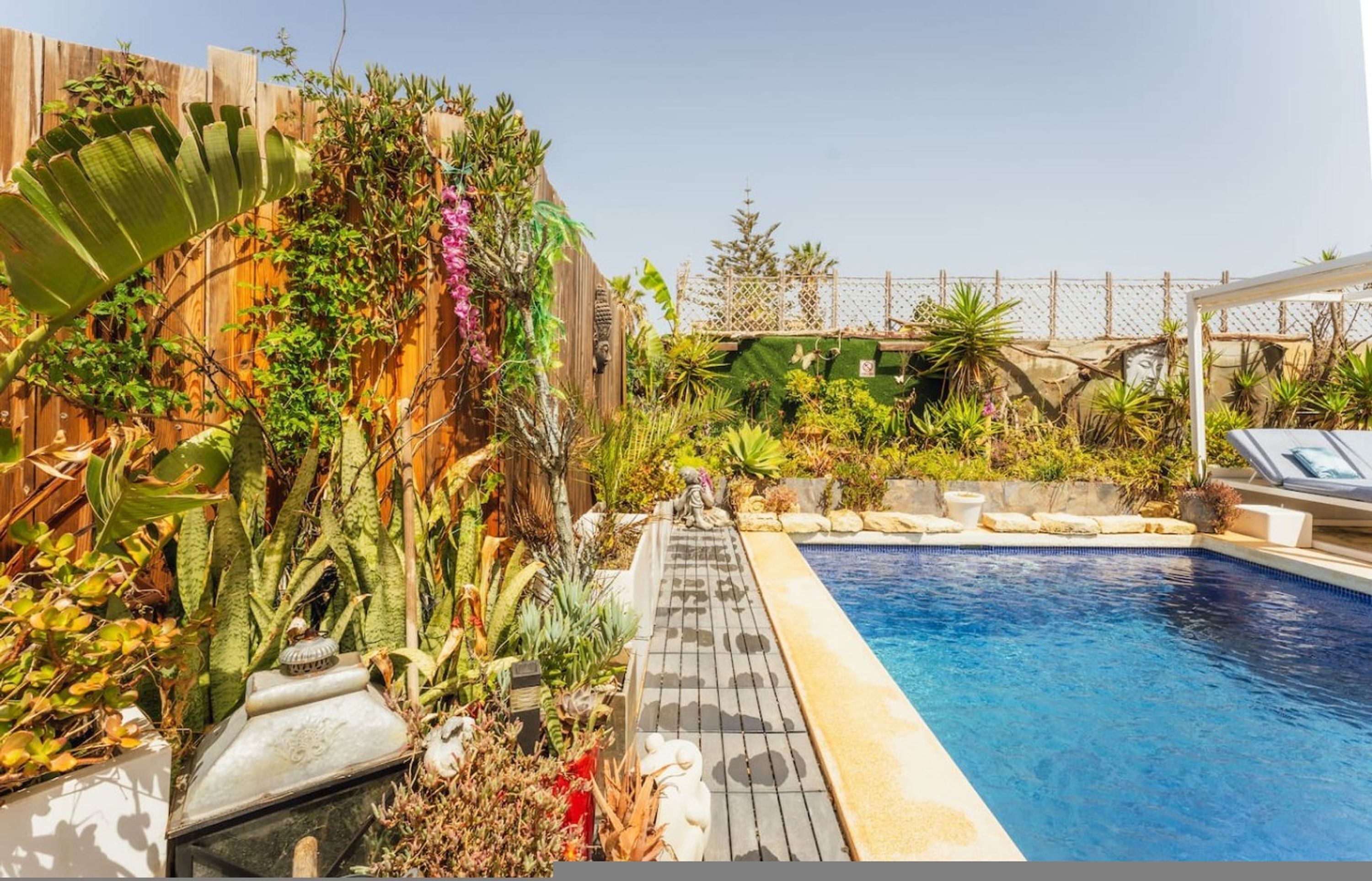 A swimming pool surrounded by lush vegetation and a wooden fence.